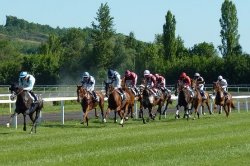 Scommesse sui cavalli a Bratislava